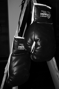 boxinggloves01